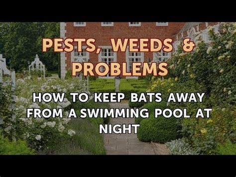 Bat-Matic: Preventing bat roosting in residential areas